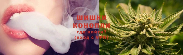 прущая мука Богданович