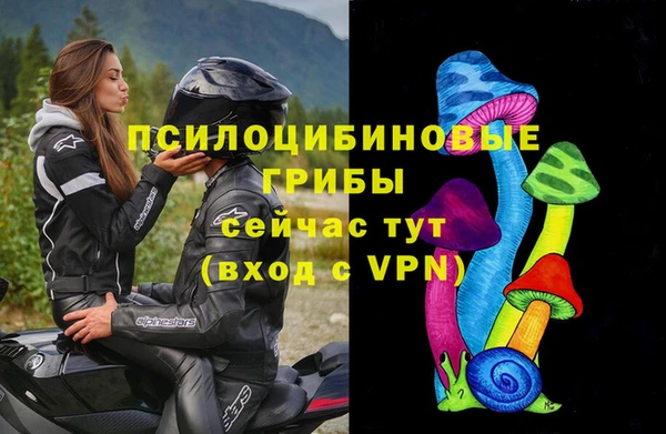 альфа пвп Богородицк