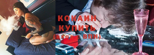 мяу мяу мука Бородино