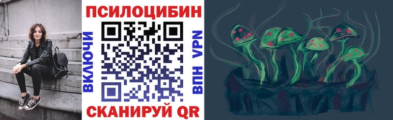 blacksprut онион  Кинешма  Псилоцибиновые грибы прущие грибы 